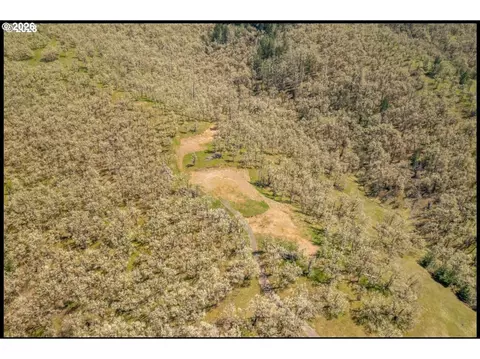 0 E Willis Creek Rd, Winston, OR 97496 photo 5