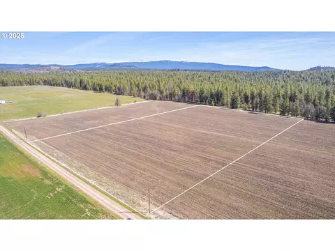two mountain views, Goldendale, WA 98620