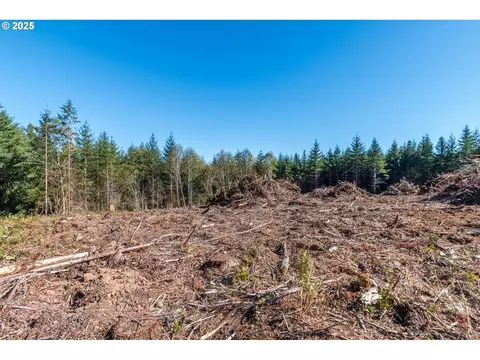 hunter, Longview, WA 98632 photo 4