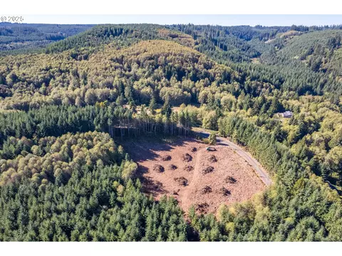 hunter, Longview, WA 98632
