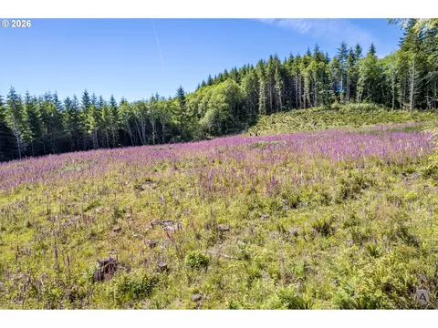 hunter, Longview, WA 98632 photo 5