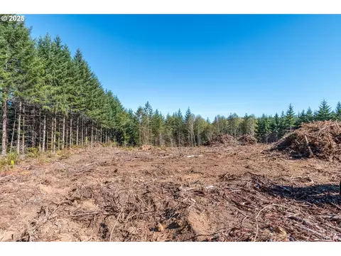 hunter, Longview, WA 98632 photo 3