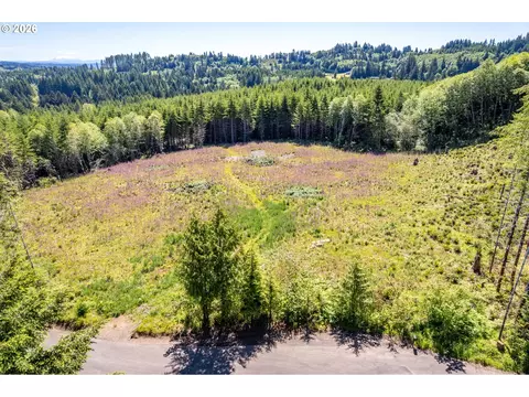 hunter, Longview, WA 98632 photo 8