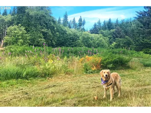 south valley ln, Naselle, WA 98638