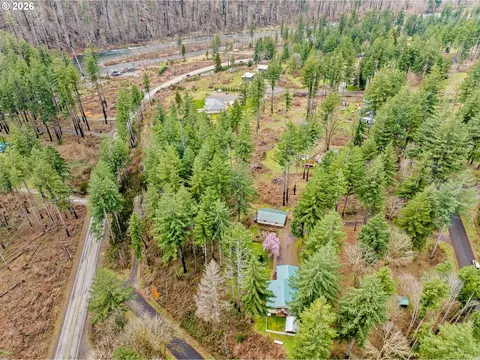 49400 Eagle Rock Pl, Vida, OR 97488 photo 41