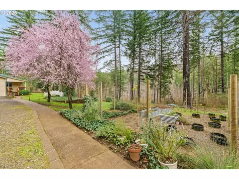 49400 Eagle Rock Pl, Vida, OR 97488 photo 3