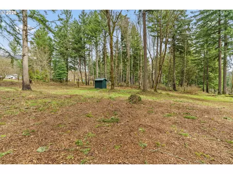 49400 Eagle Rock Pl, Vida, OR 97488 photo 35