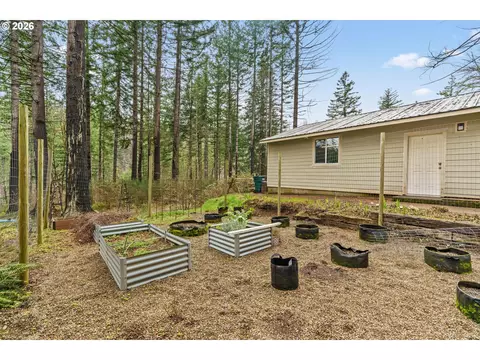 49400 Eagle Rock Pl, Vida, OR 97488 photo 32