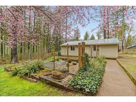 49400 Eagle Rock Pl, Vida, OR 97488 photo 31
