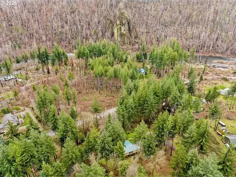 49400 Eagle Rock Pl, Vida, OR 97488 photo 40