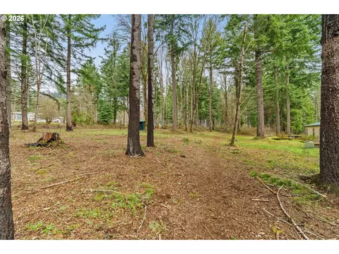 49400 Eagle Rock Pl, Vida, OR 97488 photo 33