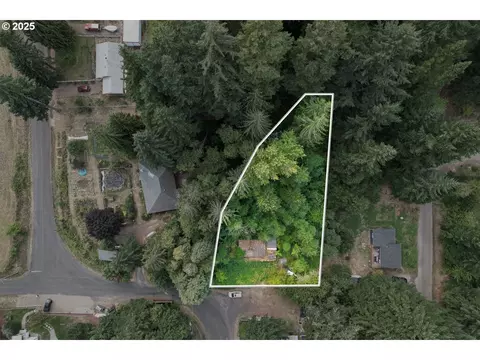 141 Carson Creek Rd, Carson, WA 98610