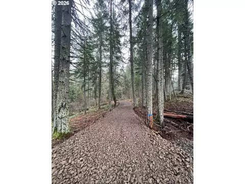7091 Little Buck Creek Rd, White Salmon, WA 98672