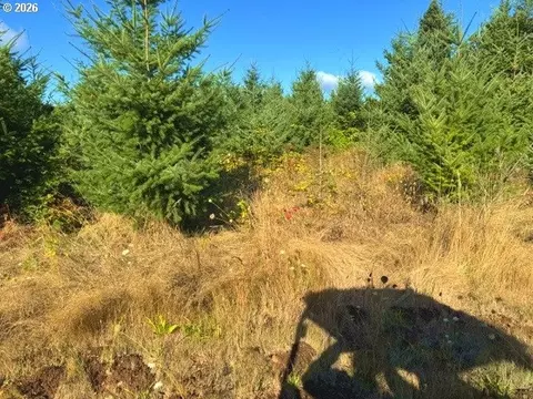 31601 S Yoder Rd, Hubbard, OR 97032 photo 9