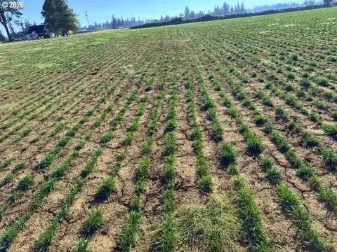 31601 S Yoder Rd, Hubbard, OR 97032 photo 8