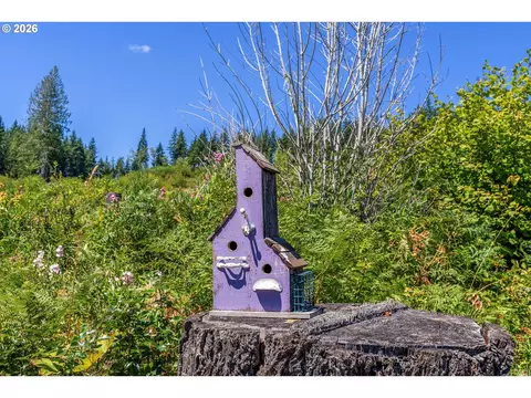 Exterior - 2401 Loop Rd, Stevenson, WA 98648 photo 15 of 26