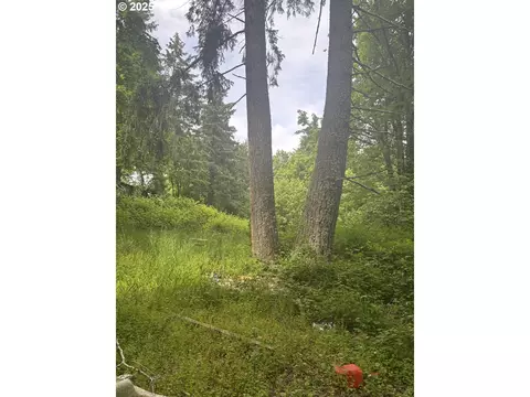 4360 NE Silver Falls Dr, Silverton, OR 97381