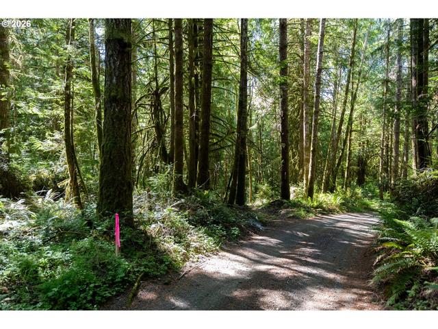 1781 E Sunset Hill Rd, Shelton, WA 98584