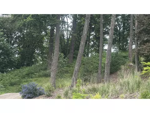 Crenshaw Rd, Eugene, OR 97401 photo 3