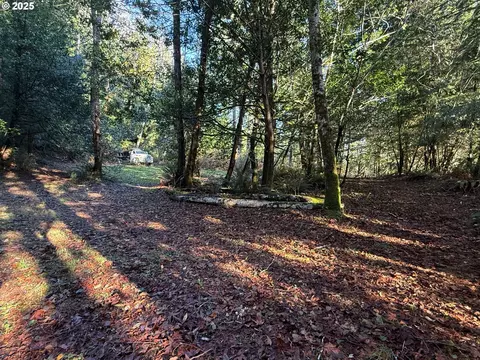 tiernan rd, Mapleton, OR 97453