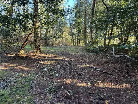 tiernan rd, Mapleton, OR 97453 photo 3