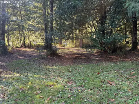 tiernan rd, Mapleton, OR 97453 photo 2