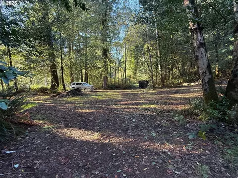 tiernan rd, Mapleton, OR 97453 photo 5