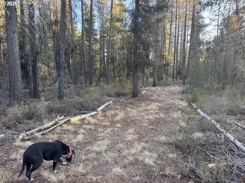 Other - keyser circle, Chiloquin, OR 97624 photo 8 of 30