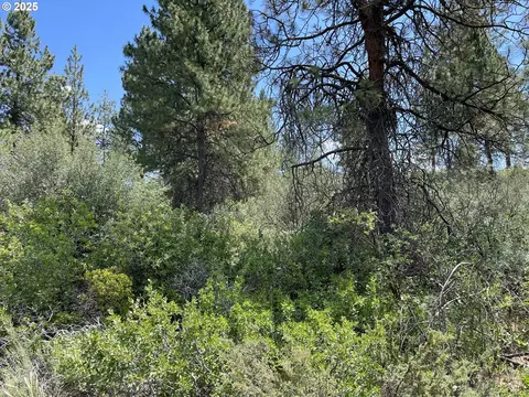 margi way, Chiloquin, OR 97624 photo 7
