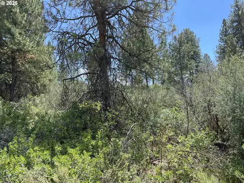 margi way, Chiloquin, OR 97624 photo 8