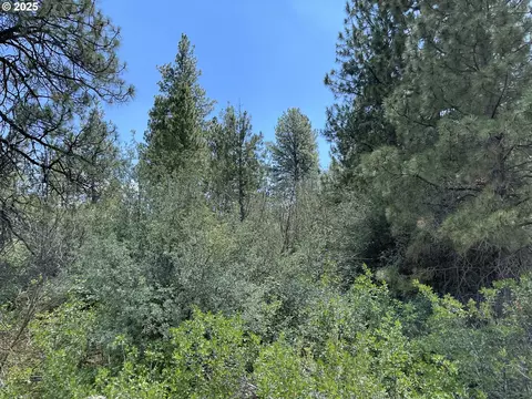 margi way, Chiloquin, OR 97624 photo 6