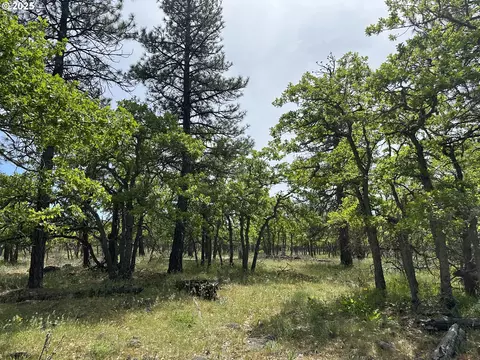 D Pine, Goldendale, WA 98620