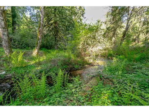 Other - 42440 SE Wildcat Mountain Dr, Sandy, OR 97055 photo 14 of 15
