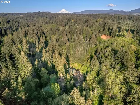 View/Area - 42440 SE Wildcat Mountain Dr, Sandy, OR 97055 photo 1 of 3