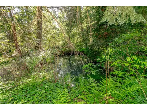 Other - 42440 SE Wildcat Mountain Dr, Sandy, OR 97055 photo 11 of 15
