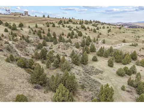 0 Blue Gulch Rd, Canyon City, OR 97820