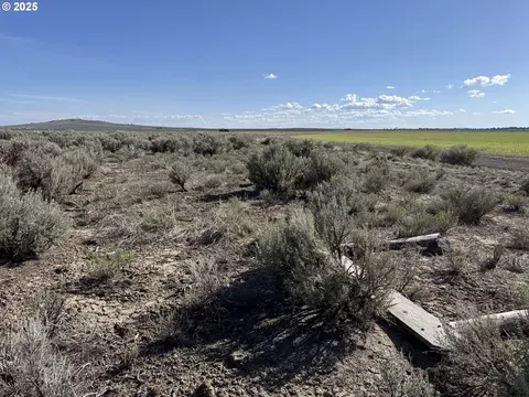 piglet way, Christmas Valley, OR 97641