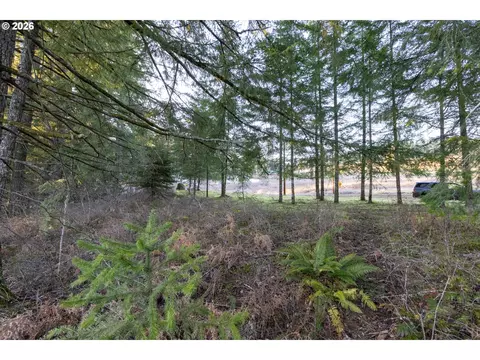 Loop Rd, Stevenson, WA 98648 photo 26