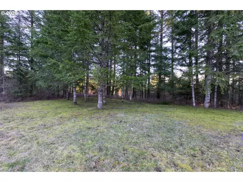 Loop Rd, Stevenson, WA 98648 photo 24