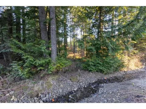 Loop Rd, Stevenson, WA 98648 photo 28