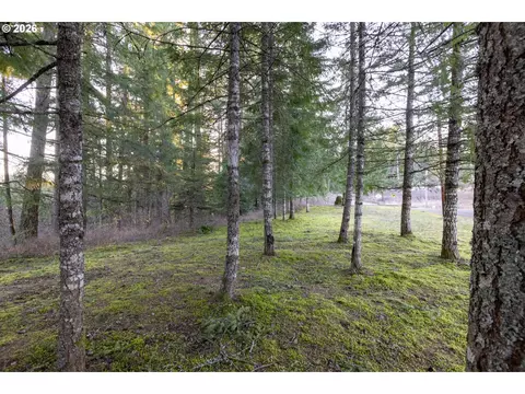 Loop Rd, Stevenson, WA 98648 photo 25