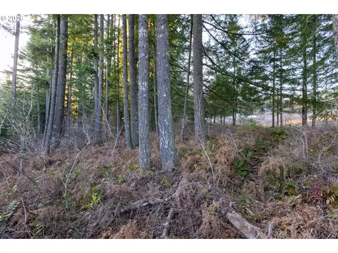 Loop Rd, Stevenson, WA 98648 photo 27