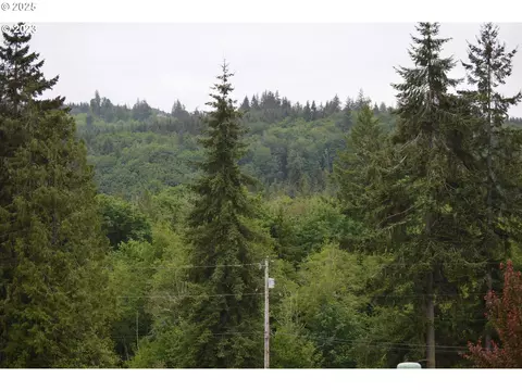 richards dr, Rainier, OR 97048 photo 3