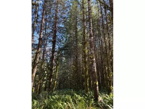 000 Logsden Rd, Blodgett, OR 97326 photo 14