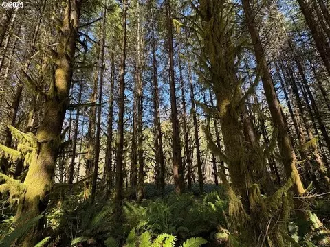 000 Logsden Rd, Blodgett, OR 97326 photo 16