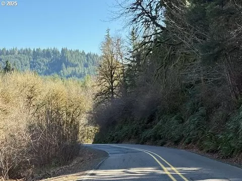 000 Logsden Rd, Blodgett, OR 97326 photo 23