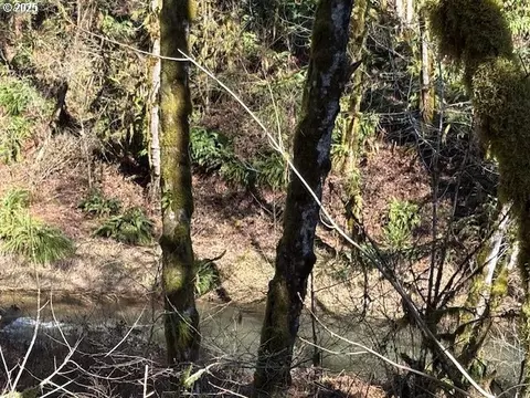 000 Logsden Rd, Blodgett, OR 97326 photo 22