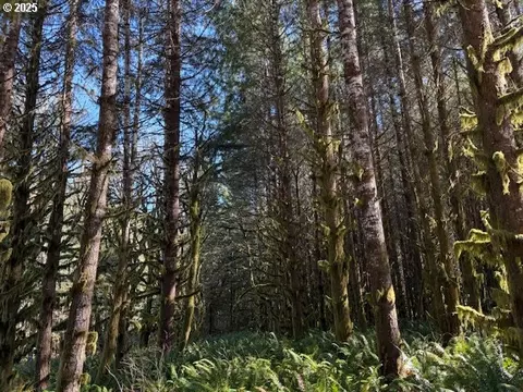 000 Logsden Rd, Blodgett, OR 97326 photo 15