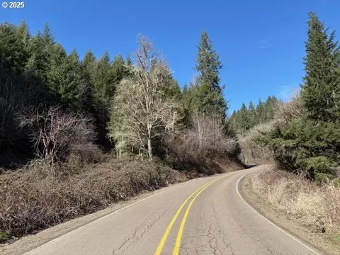 000 Logsden Rd, Blodgett, OR 97326 photo 19