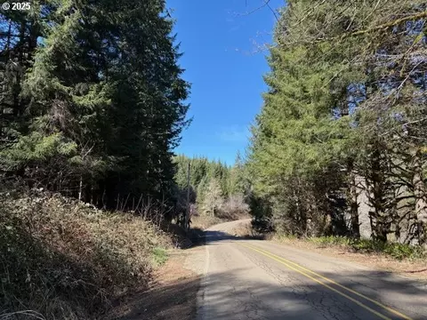 000 Logsden Rd, Blodgett, OR 97326 photo 9